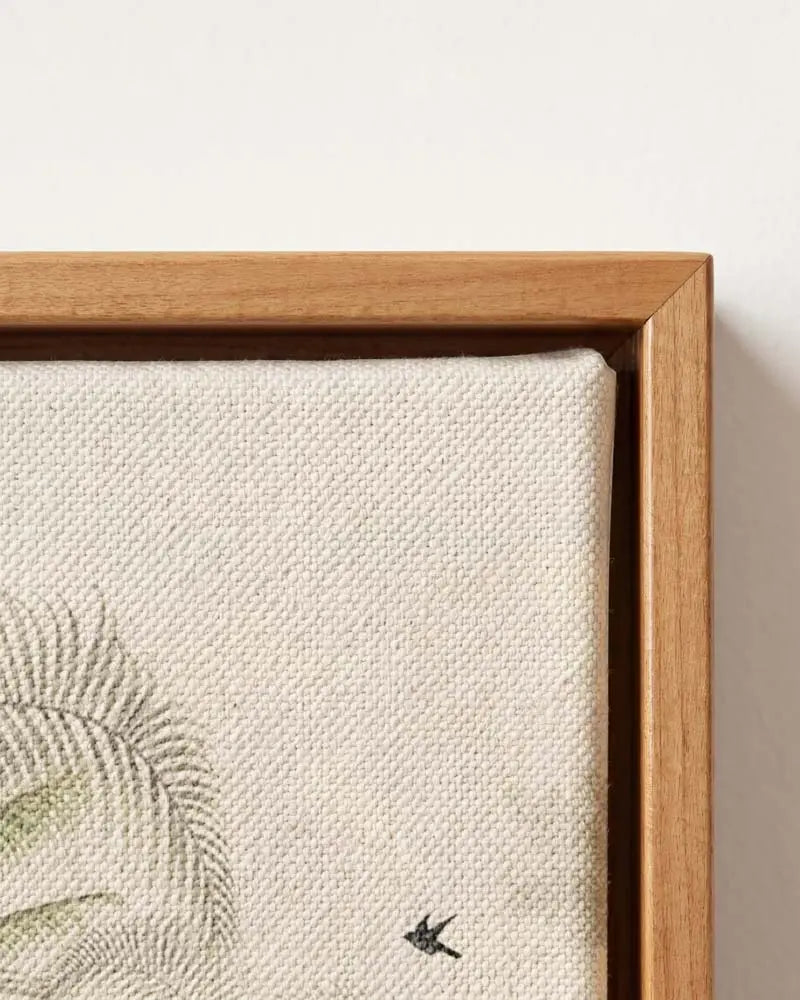 Tropical Whispers Canvas in Solid Pine Floating Frame